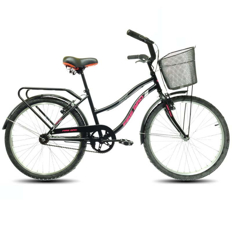 Bicicletas de paseo en Alejandro Korn